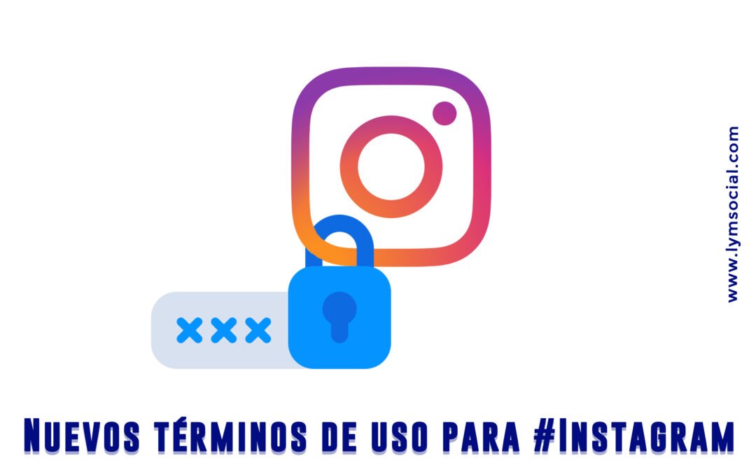 lymsocial-nuevos terminos-instagram